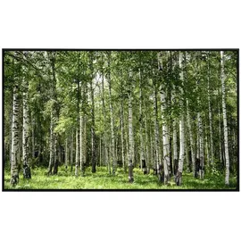 Papermoon Infrarotheizung Birkenwald 750 W bunt