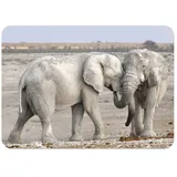 4 Platzsets mit Unterseite aus Kork, Motiv: Elefanten, Savanne Natur – groß, 39,5 x 28,5 cm