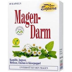 Magen-Darm 60 ST