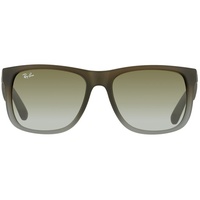 Ray Ban Justin Classic RB4165