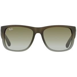 Ray Ban Justin RB4165 854/7Z 51-16 matte brown/green