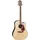 TAKAMINE GD93CE-NAT2 Natural