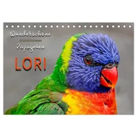 Calvendo Wunderschöne Papageien - Lori (Tischkalender 2026 DIN A5