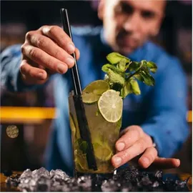 GASTROBACK 41143 Bartender Pro