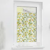 Lichtblick Fensterfolie selbstklebend, Sichtschutz, Limone - Gelb Grün B/L: ca. 100x180 cm