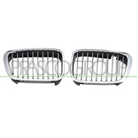 PRASCO BM0182034 Kühlergitter