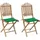 vidaXL Klappbare Gartenstühle 50 x 42 x 92 cm grün 2 St.