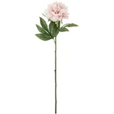 Bloomingville Peony Stiel, Rose, Künstliche Blumen,