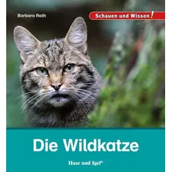 Die Wildkatze