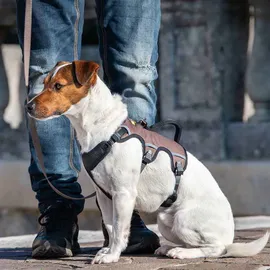Ferplast Ergotrekking Hundegeschirr Braun S