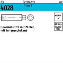 F. REYHER Nchfg. GmbH & Co. KG Gewindestift ISO 4028 Zapfen/Innen-6kt M10 x 35 50 Stück