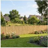 casa.pro Schilfzaun 100 x 500 cm Beige