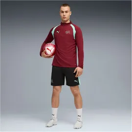 Puma Puma, SFV Training 1/4 Zip Top XL