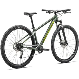 Specialized Rockhopper Base 2025 29 Zoll RH 0 cm Sage Green/Olive Green