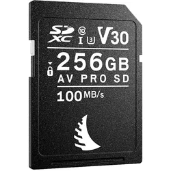 256 GB V30 SD Karte AV UHS-I