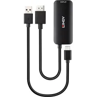 Lindy HDMI auf USB Typ C mit USB-Stromversorgung