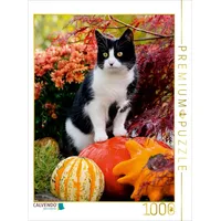 Calvendo Neugierige Katze Steht auf Kürbissen und beobachtet 1000