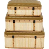 Truhe Viaggo (3/Set)
