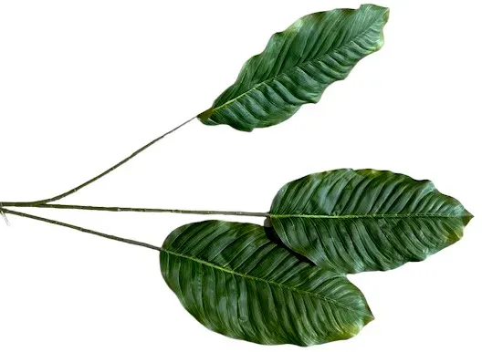 Blatt x3 106cm grün