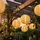 GLOBO Lampion Edelstahl Kunststoff D 30 cm 3er Set beige