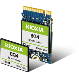 KIOXIA BG4 256 GB M.2 KBG40ZNS256G