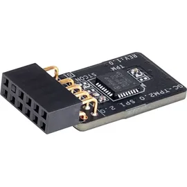 Gigabyte GC-TPM2.0 SPI 2.0 - Hardwaresicherheitschip