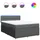vidaXL Boxspringbett 140 x 200 cm Dunkelgrau