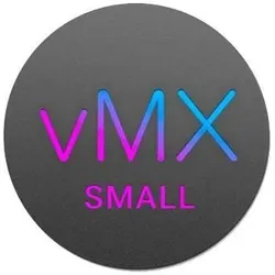 Cisco Lizenz VMX Enterprise S 1 Jahr
