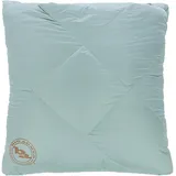Big Agnes Camp 650 RDS DownTek Quillow (Größe ONE SIZE, braun)