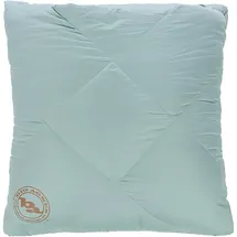 Big Agnes Camp 650 RDS DownTek Quillow (Größe ONE SIZE, braun)
