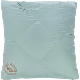 Big Agnes Camp 650 RDS DownTek Quillow (Größe ONE SIZE, braun)