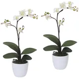 Creativ green Kunstpflanze »Orchidee Phalaenopsis«, im Keramiktopf, weiß