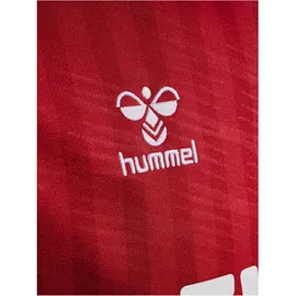 hummel 1. FC Köln Auswärtstrikot 2025/26 Herren Gr. XXL