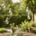 MARELIDA LED Solar Lichterkette 4,5 m Transparent