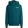 adidas Terrex Multi 2L Rain.rdy Insulated RAIN JACKET, Aurora Ivy, XL