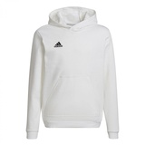 Adidas Entrada 22 Sweat Hoodie, Kinder weiß