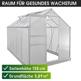 Brast Gewächshaus Aluminium Silber HKP 6 mm 5,89 m2