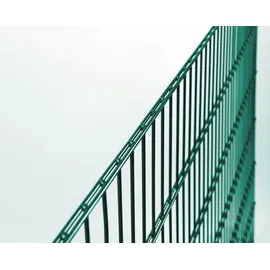 GAH Alberts Doppelstabmatte 656 1,0 x 2,0 m grün