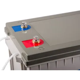 Victron Energy 160Ah 12-Volt Lead Carbon Batterie (M8)