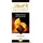 Lindt Excellence Orange Intense Feinherbe Schokolade 4er Pack 100 g