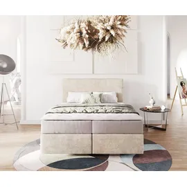 DeLife Dream-Well 140 x 200 cm H2/H3 beige