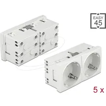 DeLock Schuko-Steckdose 2-fach Weiß 5 St.