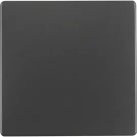 Berker Wippe 16206086