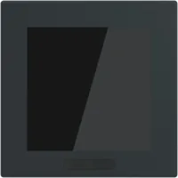 Busch-Jaeger SD/U12.63.11-825 Busch-Trevion® Display 2,4" Format 63 - solo/future - Schwarz