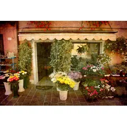 Fototapete PAPERMOON "Blumenladen", bunt, B:4,00m L:2,60m, Vlies, Tapeten