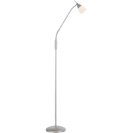 Paul Neuhaus Pino 111 cm x 163 cm grau