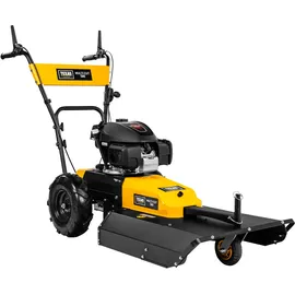 TEXAS Multi Cut 580H 4,2 kW