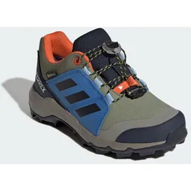 adidas TERREX GORE-TEX Wanderschuh schwarz|blau|grün 34