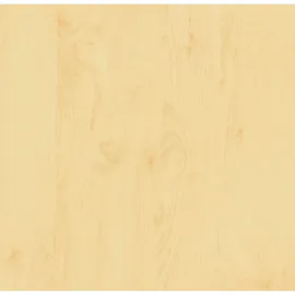 d-c-fix Birke 45 cm x 2 m