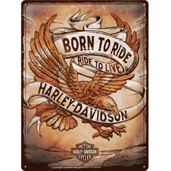 Blechschild Harley Davidson